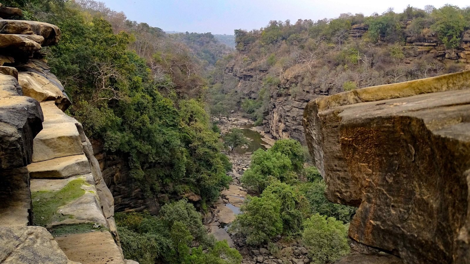 Forests of Mirzapur (U.P.), Photo- Debadityo Sinha